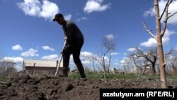 Սմբատ Գրիգորյանը հողն է մշակում