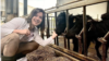 Peste 30% din medicii veterinari lucrează în Chișinău. „La coada vacii nimeni nu vrea”
