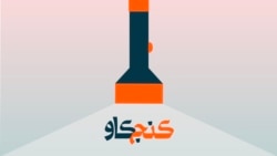 انتخابات آمریکا: کالج الکترال چیست و چه کسانی از آن نفع می‌برند؟