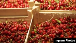 Fructele, legumele, grâul și orezul sunt printre alimentele pentru care se folosesc pesticide. 