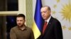 Presidenti ukrainas, Volodymyr Zelensky në takim me Presidentin turk, Rexhep Tajip, Erdogan.