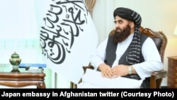 امیرخان متقی سرپرست وزارت خارجه حکومت طالبان