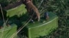 Image result for Рынкевіч