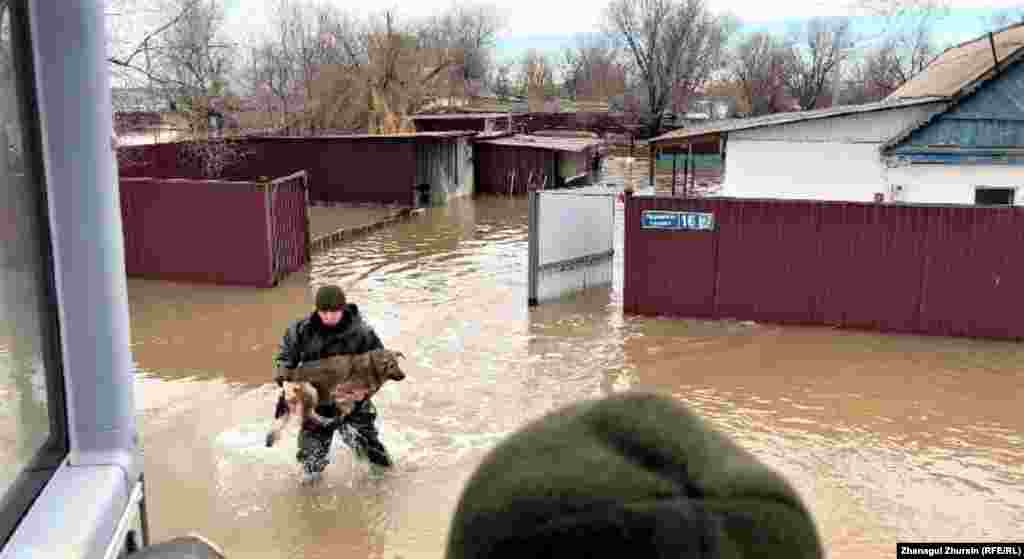 Спасатели выносят собаку из затопленного двора в Кобдинском районе Актюбинской области 