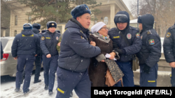 Kyrgyz police detain a protester in Bishkek's Gorky Park on January 10.