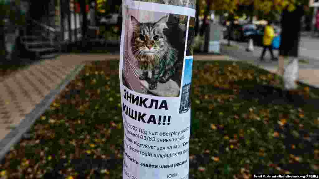 Nëpërmjet një fletushke kërkohet ndihmë për të gjetur një mace që u zhduk gjatë sulmit me raketa. “Emma” u gjet më vonë. 