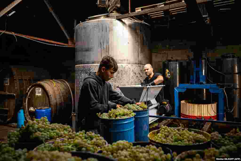 Russia's seizure of Crimea from Ukraine in 2014 resulted in the loss of about one-third of Ukraine's vineyards, including some of their best and most famous.