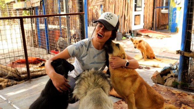 Dogs Of War: How Saving Animals In Ukraine 'Brought Me Back To Life' 