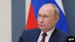 Predsednik Rusije Vladimir Putin je 3. juna u televizijskom intervjuu rekao da "nije problem" da se izvozi žito iz Ukrajine, preko ukrajinskih luka koje kontrolišu Kijev ili Moskva ili čak preko centralne Evrope. Fotografija: 28. maj 2022.