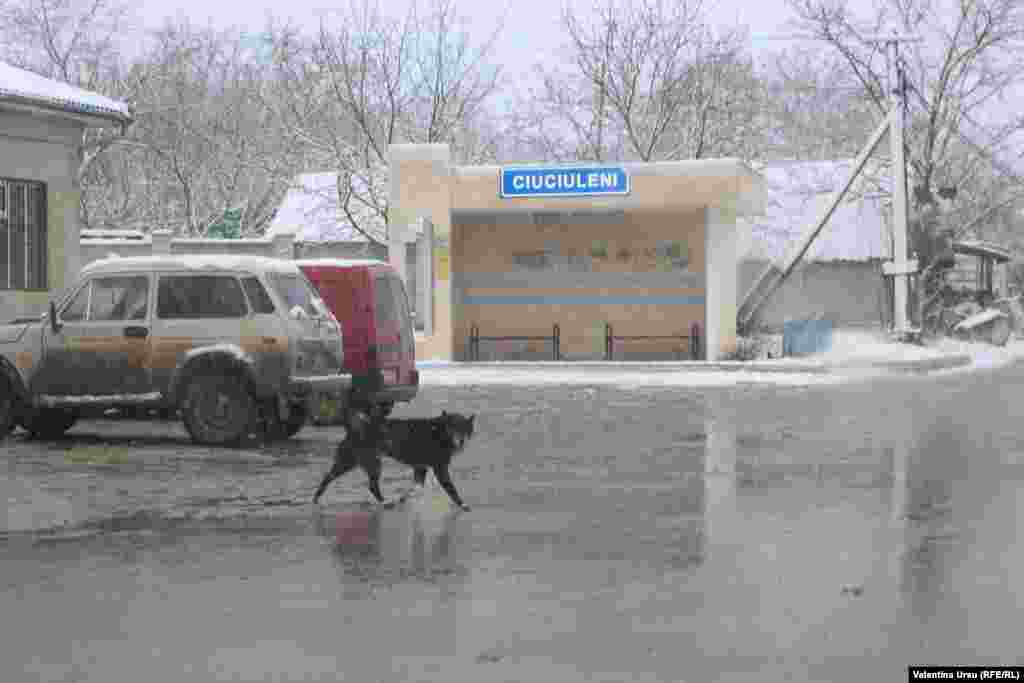 Moldova - people and places in Ciuciuleni, Hâncești