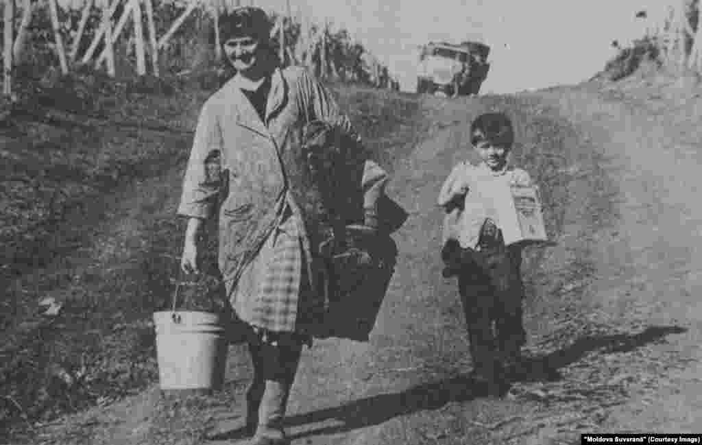 "Moldova Suverană", 19 octombrie 1993, ţăranca la câmp
