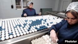 Armenia - Workers at a poultry factory in Yerevan, 5Dec2012.