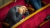 Чи готовий голосувати парламент за недоторканність п’ятьох депутатів (відео)