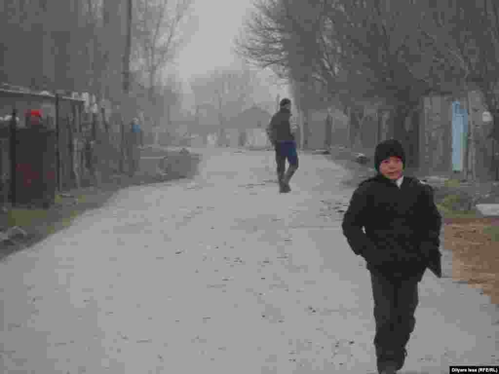 Бағыс ауылы Қазақстанға берілгенімен, Сарыағаш ауданы әкімдігі өкілдері «шекара туралы Өзбекстан мен Қазақстан келісімі әлі ратификацияланбағанын» айтады. Ал тұрғындар «картада жоқсыңдар» деп мектеп құрылысын тоқтатты, газ да тартпай отыр. Мал жаятын жер де тар, пайға берілген жер де жоқ, субсидия деген тіпті жоқ. Жұмыссыз жастар қалаға тентіреді» деген шағымдарын жеткізді. 