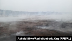 Упродовж поточного тижня якість повітря у Києві кілька днів була поганою, спостерігалося задимлення через лісові й торф’яні пожежі в області