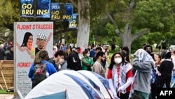 Studentët mblidhen në kampusin e Universitetit të Kalifornisë Jugore për të protestuar kundër luftës në Gazë, 25 prill 2024.