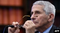 Eksperti për sëmundje infektive në SHBA, Anthony Fauci.