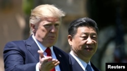 Дональд Трамп менен Си Цзиньпинь АКШдагы жолугушуу учурунда