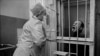 Image result for "Паўла Вінаградава"