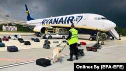 Bombakereső kutyák a Ryanair repülőgépe előtt a minszki repülőtéren, 2021. május 23-án