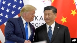 Дональд Трамп и Си Цзиньпин 