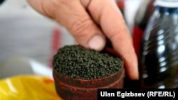 Насыбай