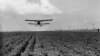 Agricultură în Bărăgan, anii 1980. Sursa: comunismulinromania.ro (MNIR)