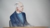 Image result for Wikileaks