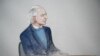 Image result for Wikileaks