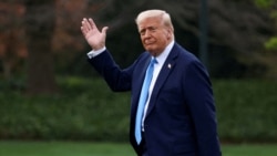 Цитаты Свободы. На трамповских качелях