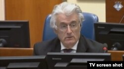 Karadžić u sudnici, listopad 2014.