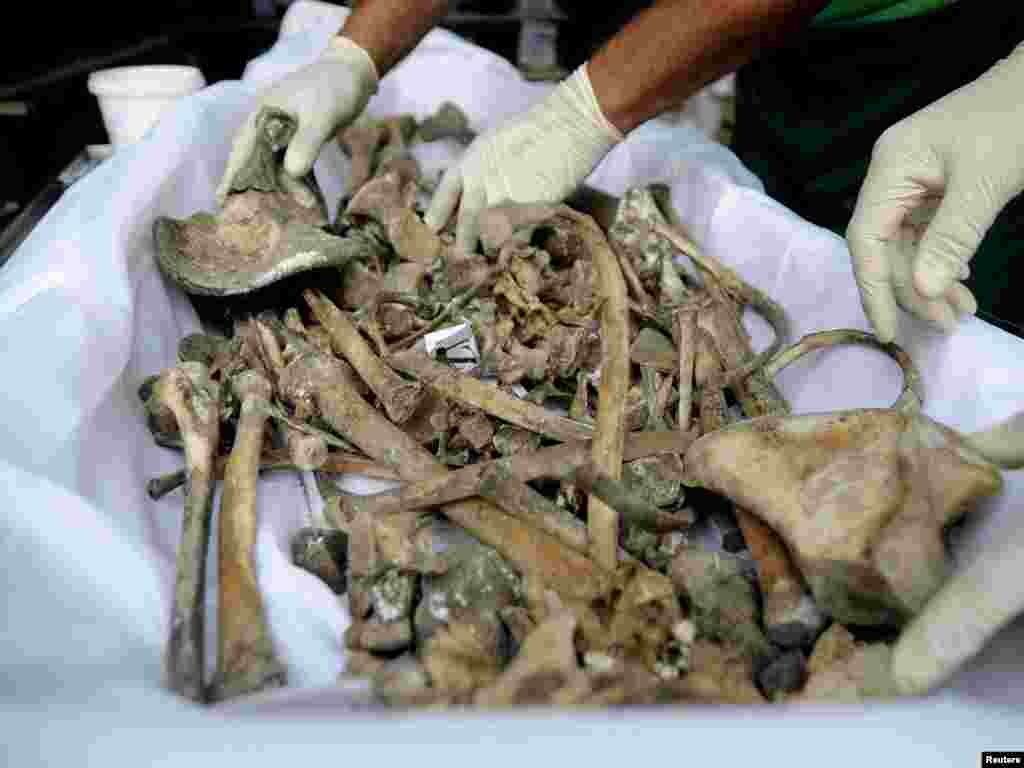 İyul 2010. 1995-ci ildə Srebrenica qırğını qurbanlarından birinin qalıqları araşdırılır.