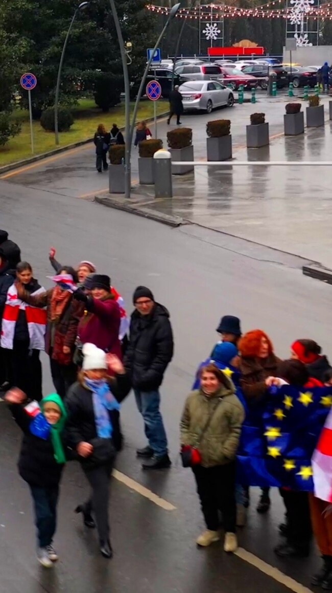 Georgian Anti-Government Protesters Form Human Chain