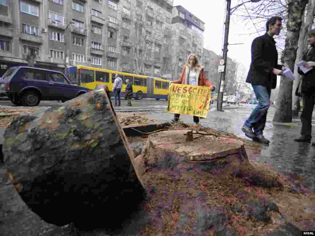Foto: Vesna Anđić