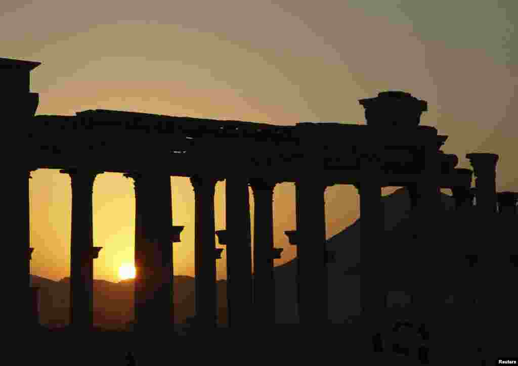 Закат в Пальмире – ноябрь 2010 года.