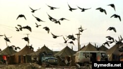 В случае невыполнения поручения беженцам грозят следующими видами наказаний: общественное порицание, штрафы, иные виды наказания, включая уголовное
