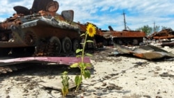 Vehicule militare rusești distruse la o fermă agricolă care a fost folosită de trupele ruse ca bază militară în regiunea Harkov.